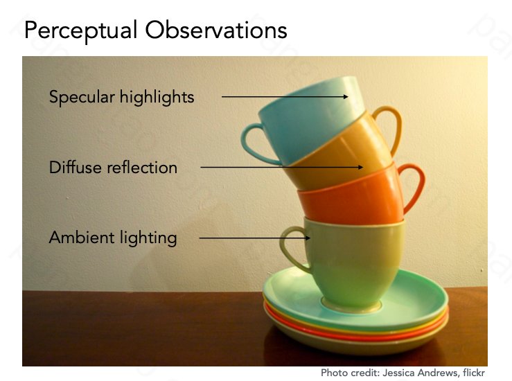 Perceptual Observations